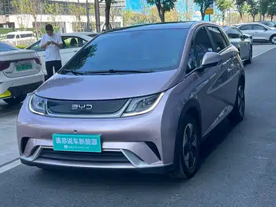 BYD Dolphin 2024
