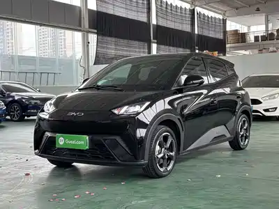 BYD Seagull 2024