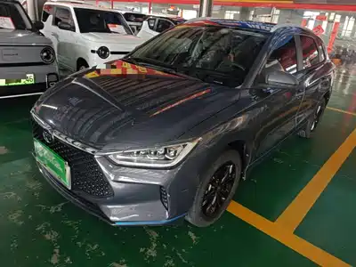 BYD e2 2021