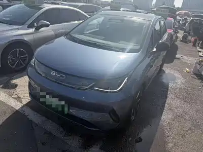 BYD Dolphin 2026