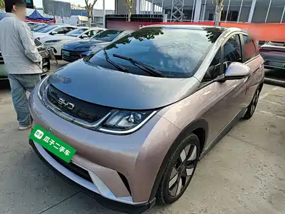 BYD Dolphin 2024