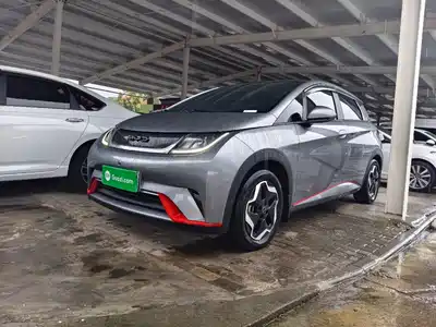 BYD Dolphin 2022