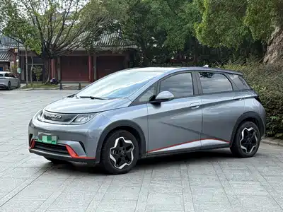 BYD Dolphin 2022
