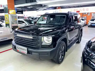 Haval Meng Long NEV 2023
