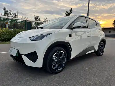 BYD Seagull 2025