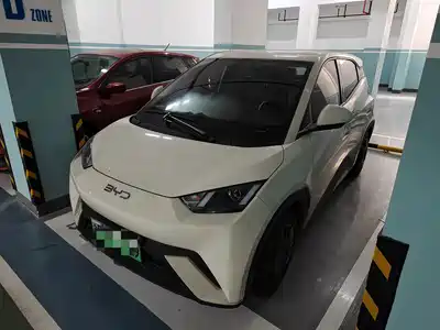 BYD Seagull 2025