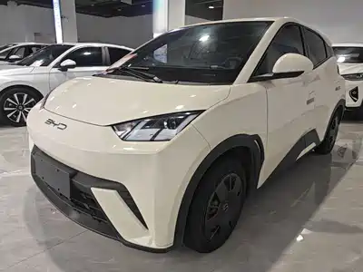BYD Seagull 2023