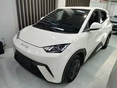 BYD Seagull 2024