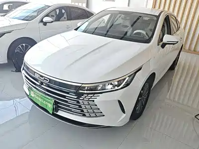 BYD Destroyer 05 2024