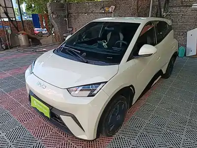 BYD Seagull 2024