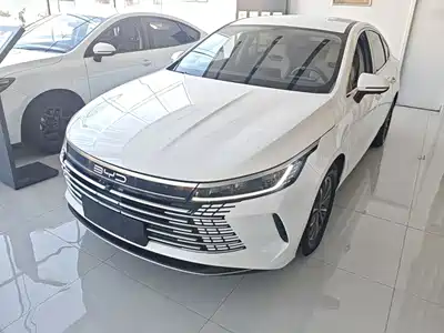 BYD Destroyer 05 2024