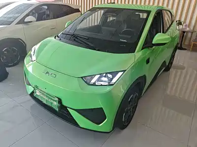 BYD Seagull 2025