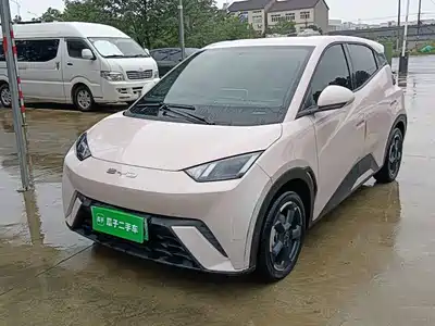 BYD Seagull 2024