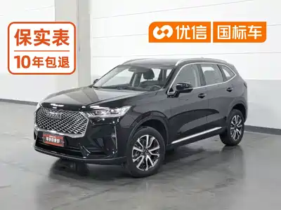 Haval H6 2021