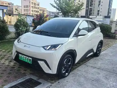 BYD Seagull 2024