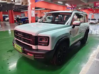 Haval Meng Long NEV 2025