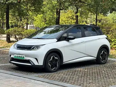 BYD Dolphin 2022