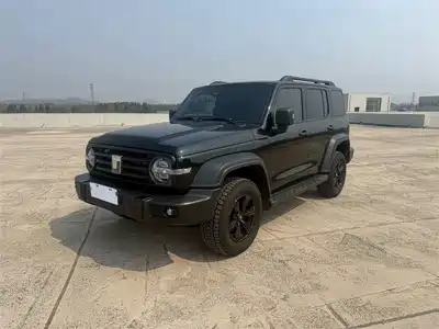 Tank 300 2025