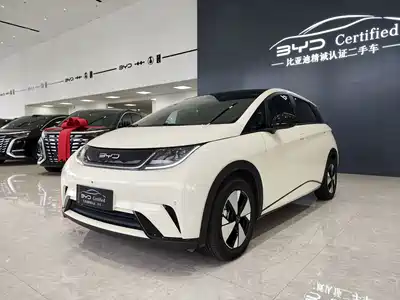 BYD Dolphin 2024
