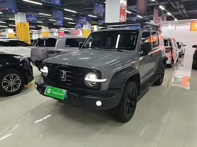 Tank 300 2021