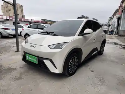 BYD Seagull 2024