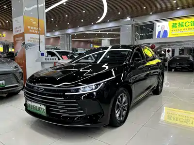 BYD Destroyer 05 2024