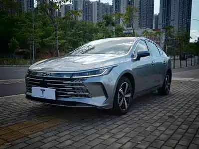 BYD Destroyer 05 2022