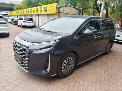 BYD Xia 2025
