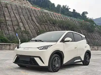 BYD Seagull 2024