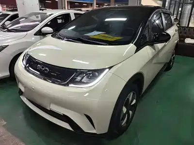 BYD Dolphin 2025