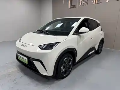 BYD Seagull 2024