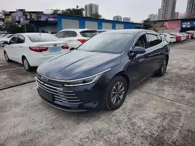 BYD Destroyer 05 2024