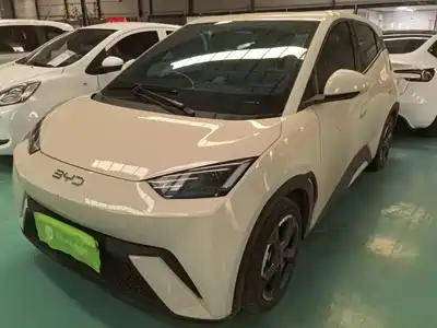 BYD Seagull 2024