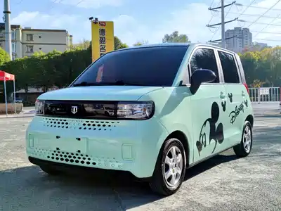 Baizhi New Energy Big Bear 2022