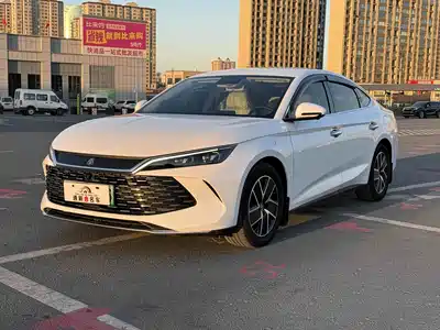 BYD Qin L 2024