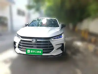 BYD Tang New Energy 2020
