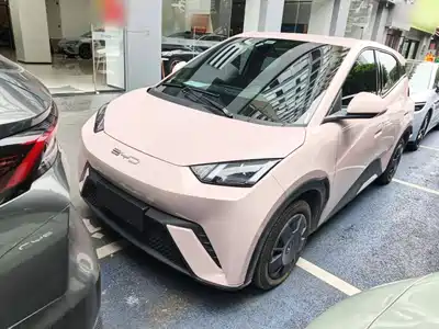 BYD Seagull 2024