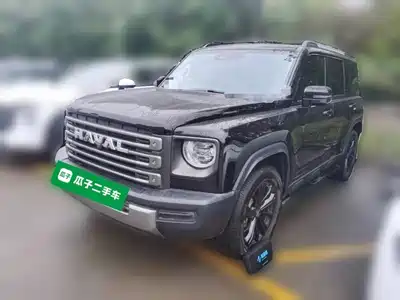 Haval Meng Long NEV 2024