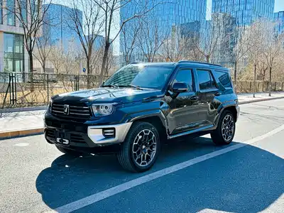 Tank 700 New Energy 2024