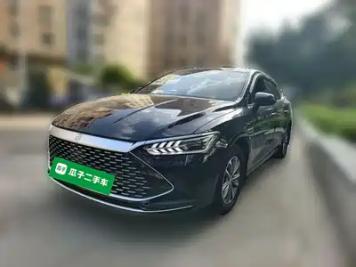 BYD Qin PLUS 2024