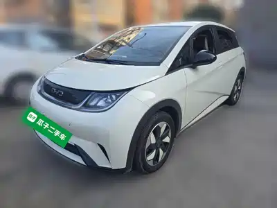 BYD Dolphin 2024
