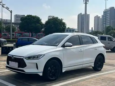 BYD e2 2021