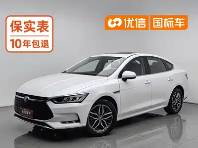 BYD Qin Pro New Energy 2020