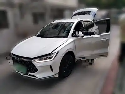BYD e2 2021