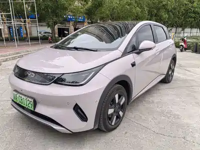 BYD Dolphin 2026