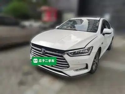 BYD Qin Pro New Energy 2019