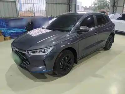 BYD e2 2020