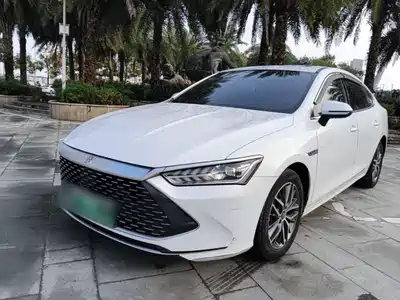 BYD Qin PLUS 2021