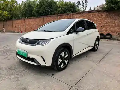 BYD Dolphin 2024