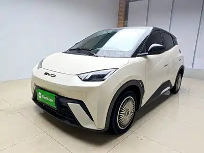 BYD Seagull 2024